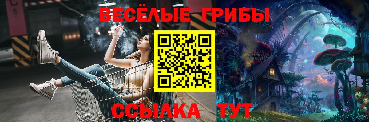 Псилоцибиновые грибы ЛСД  купить наркотики сайты  Галлюциногенные грибы Psilocybine cubensis  Южноуральск  Вход с VPN 